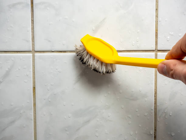 Best Kitchen Mold Remediation in Walker Valley, NY